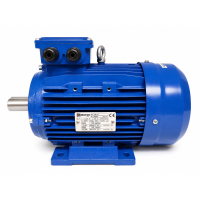 Moteur électrique triphasé 4 kW 1500 tr/min 400V pour unités de vide (1)
